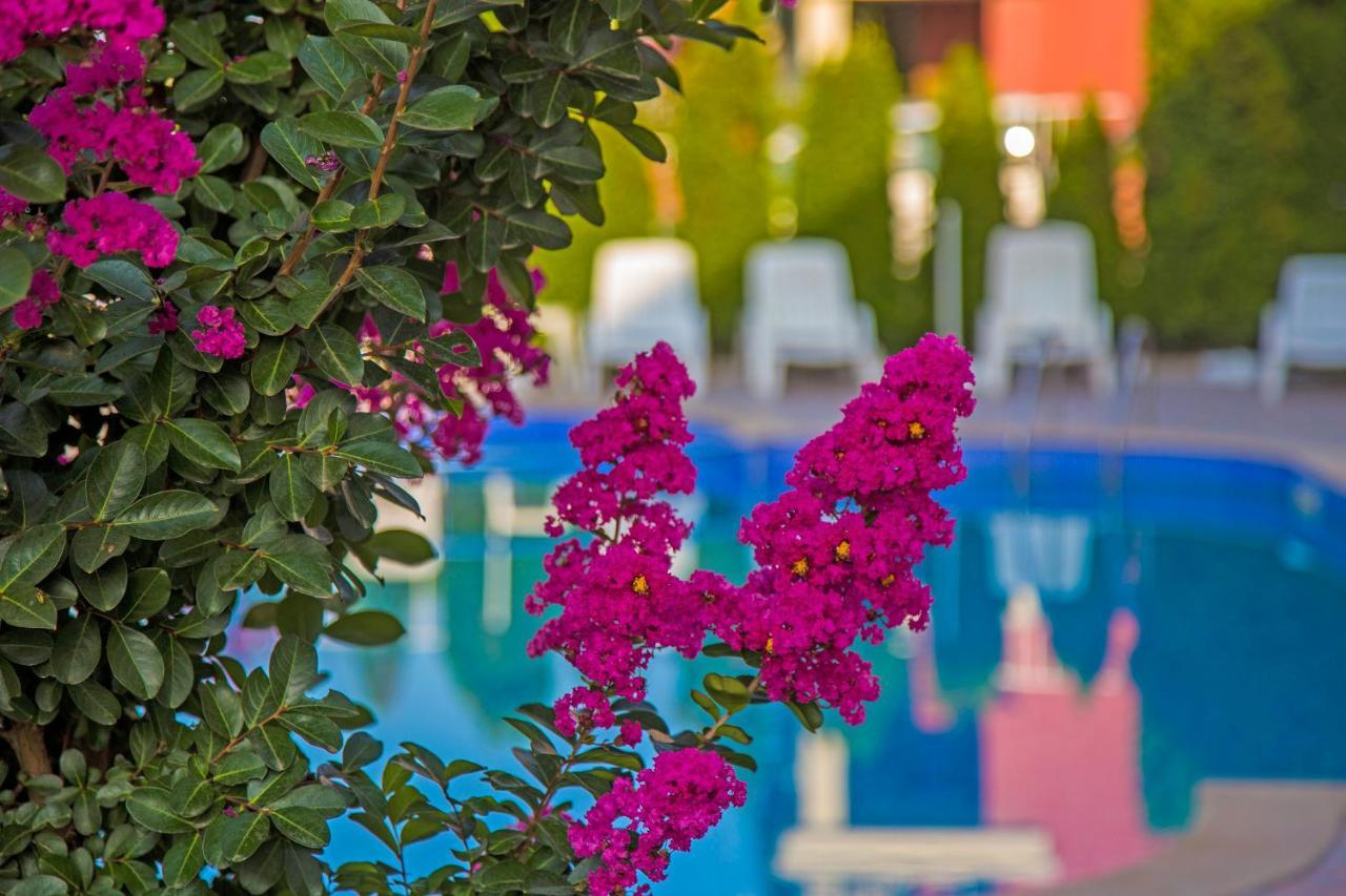 Anthony Complex Aparthotel Sveti Vlas Exterior photo